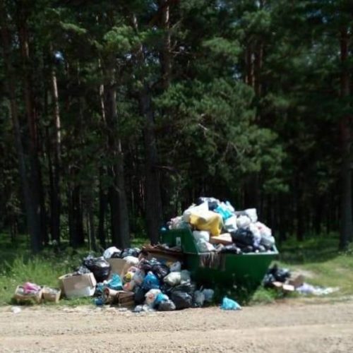 В местах массового отдыха туристов будут устанавливать контейнерные площадки для мусора