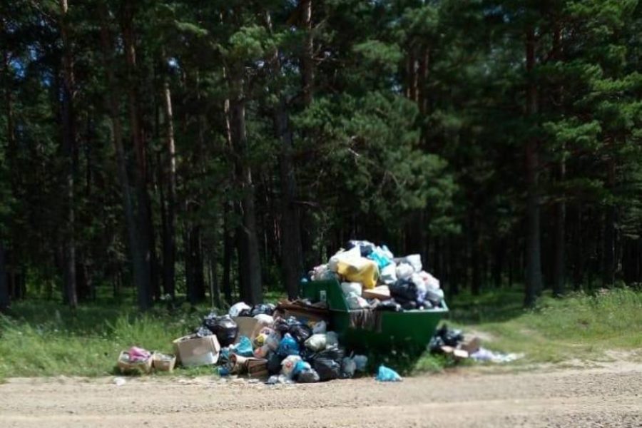 В местах массового отдыха туристов будут устанавливать контейнерные площадки для мусора
