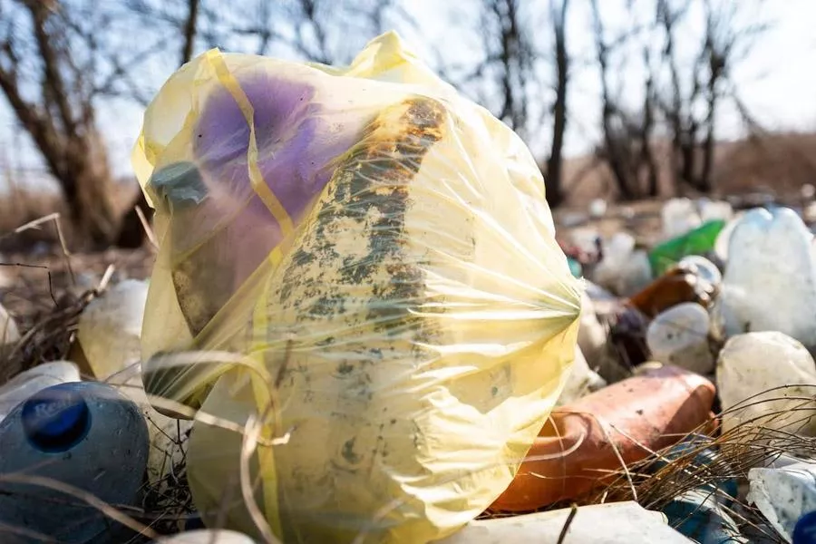 В Новосибирской области ликвидировано 9 свалок на площади 6,2 га