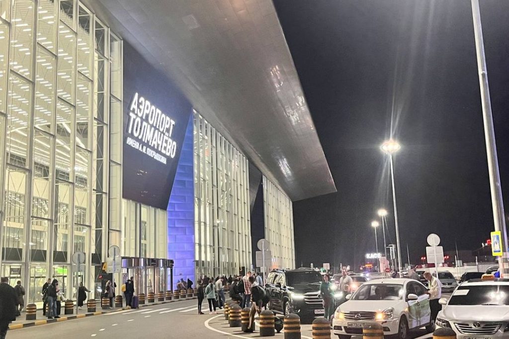 Собака на взлетно-посадочной полосе помешала приземлиться самолету S7 в Новосибирске