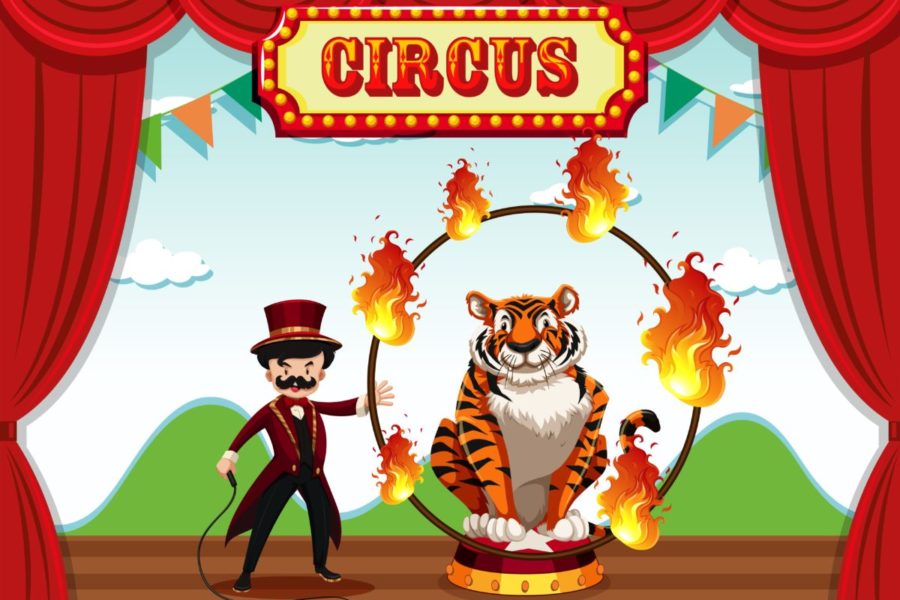 Госдума рассмотрит законопроект о введении запрета на использование животных в цирках