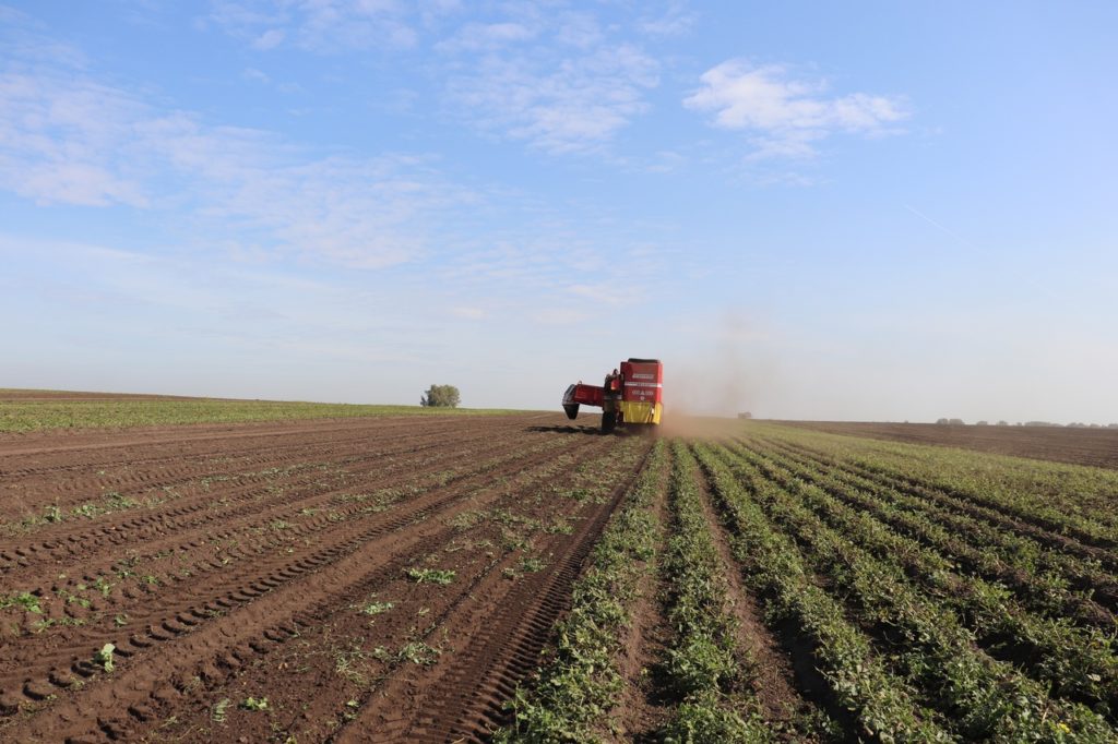 Убрано 83 процента урожая на полях Новосибирской области