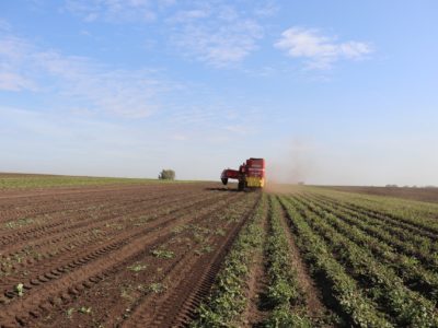 Убрано 83 процента урожая на полях Новосибирской области