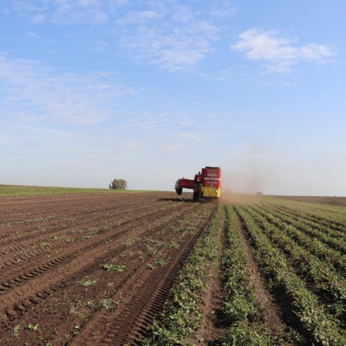 Убрано 83 процента урожая на полях Новосибирской области