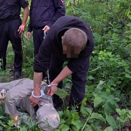Сибиряк закопал убитую женщину, которую искали 9 месяцев в Новосибирской области