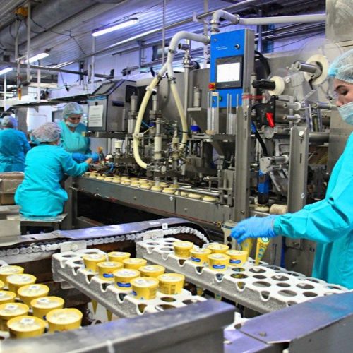 Сибирский производитель мороженого нарастит скорость поставок вслед за эффективностью фабрики