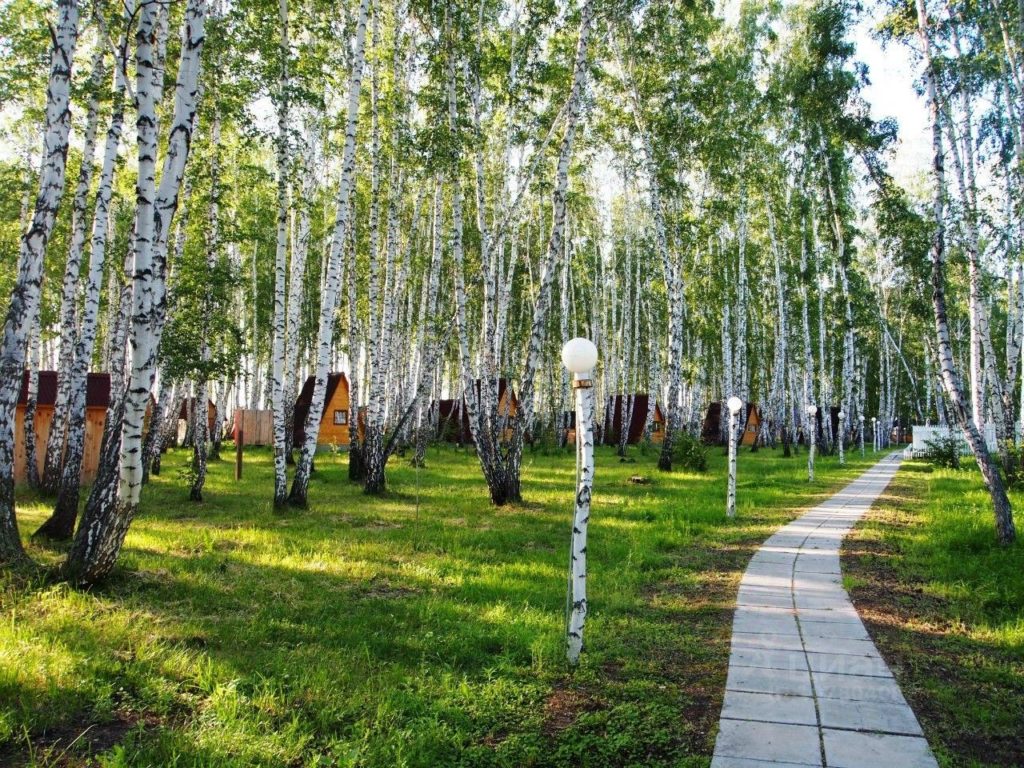 Под Новосибирском продается база отдыха за 160 млн рублей