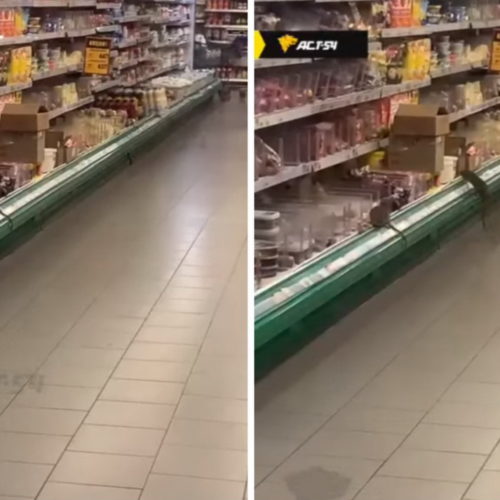 Новосибирцы запечатлели крыс в магазине «Мария-Ра»