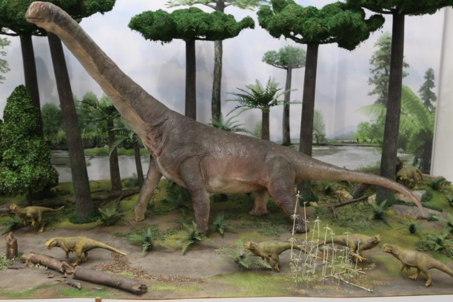 Макет окрестностей кладбища динозавров создан в Новосибирске