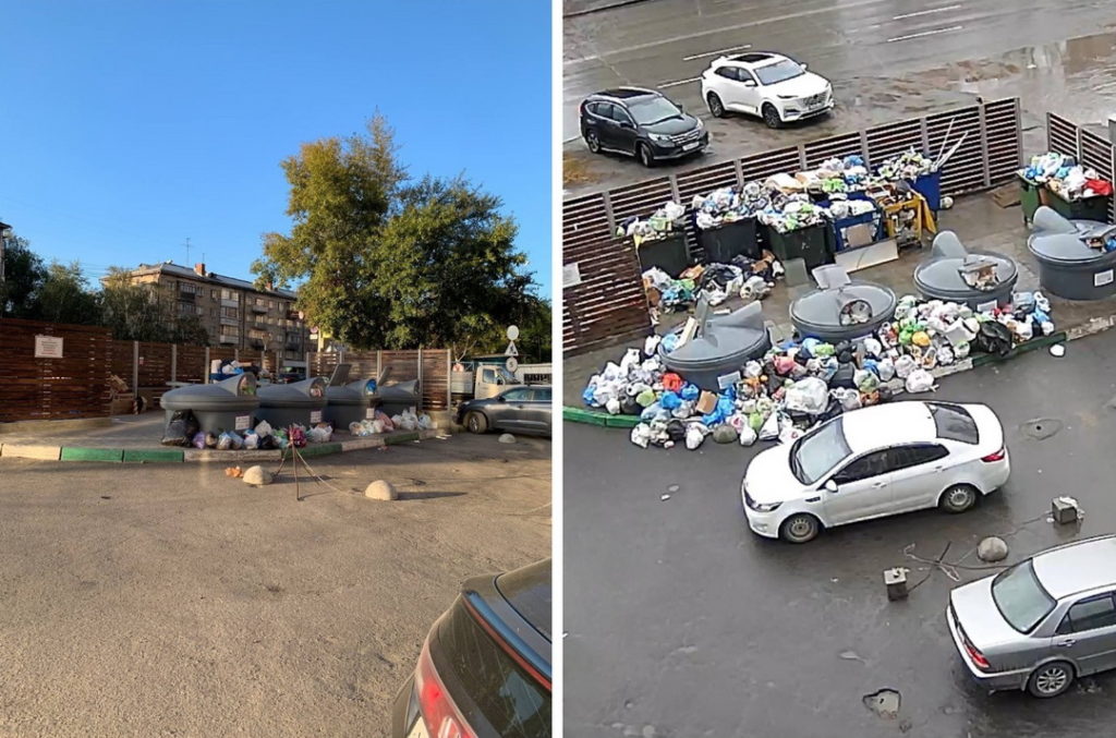 «Крысы размером со свинью»: двор жилого дома завалило мусором в Новосибирске