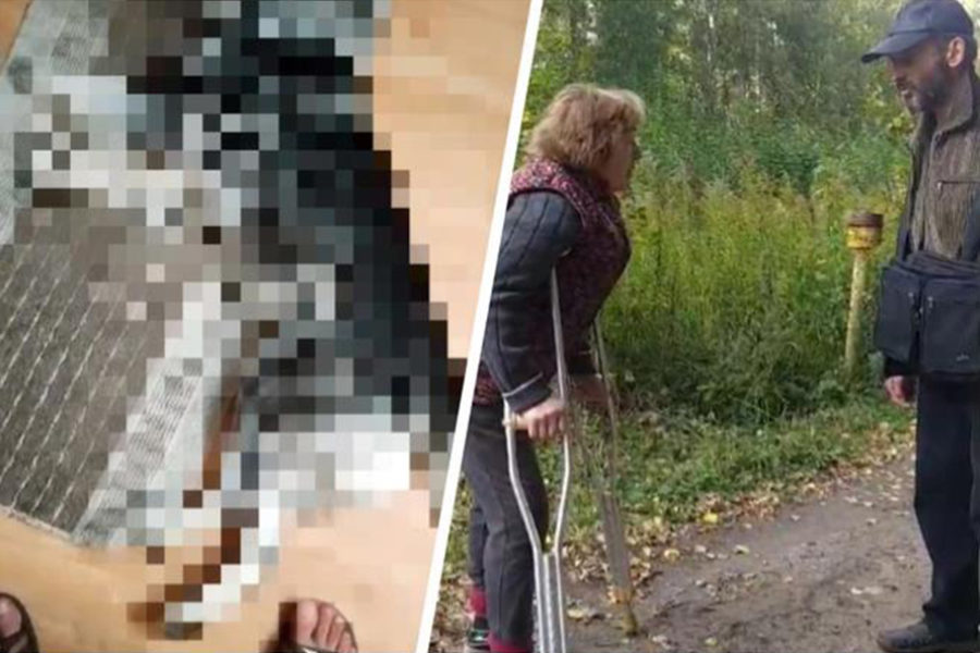 Новосибирец похитил своего пса из приюта, а после расправился с ним у себя дома