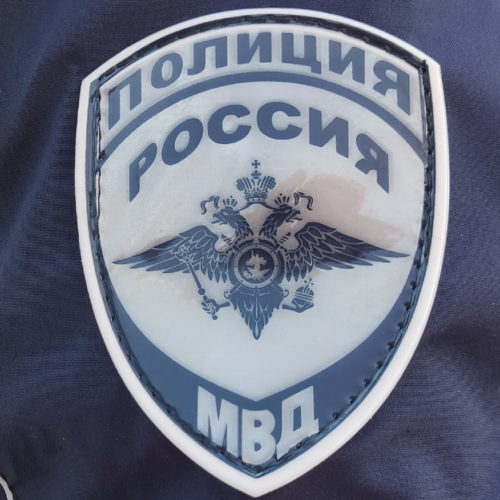 Продавщица рыбы, обплевавшая лицо полицейскому, получила штраф под Новосибирском