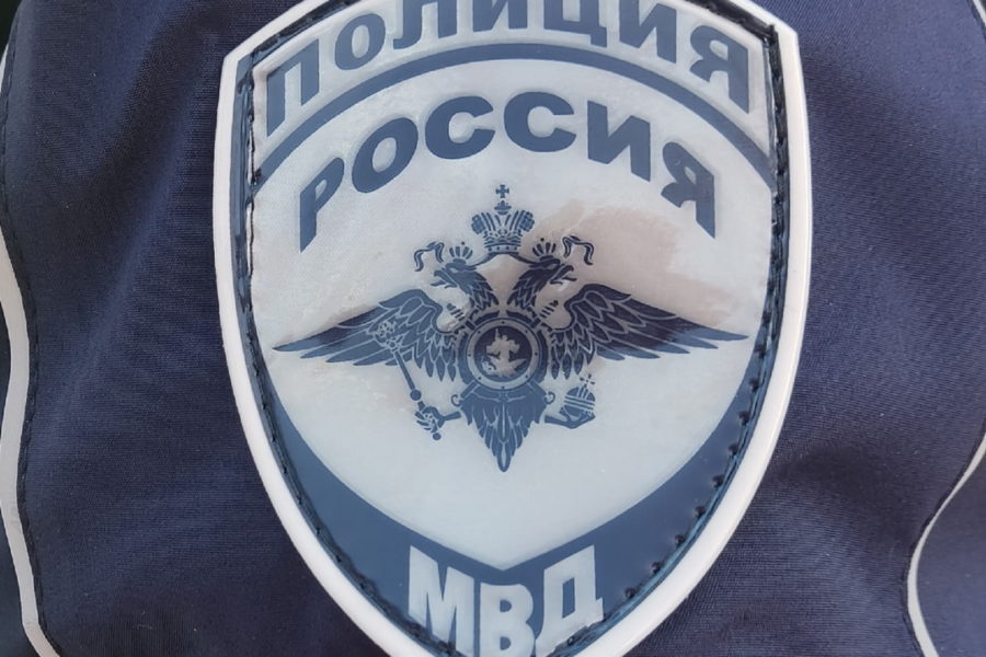 Продавщица рыбы, обплевавшая лицо полицейскому, получила штраф под Новосибирском