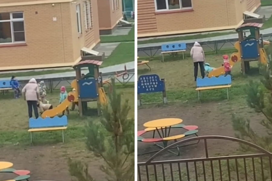 Очевидец сняла видео, где воспитатель детсада таскает детей за капюшоны в Новосибирске