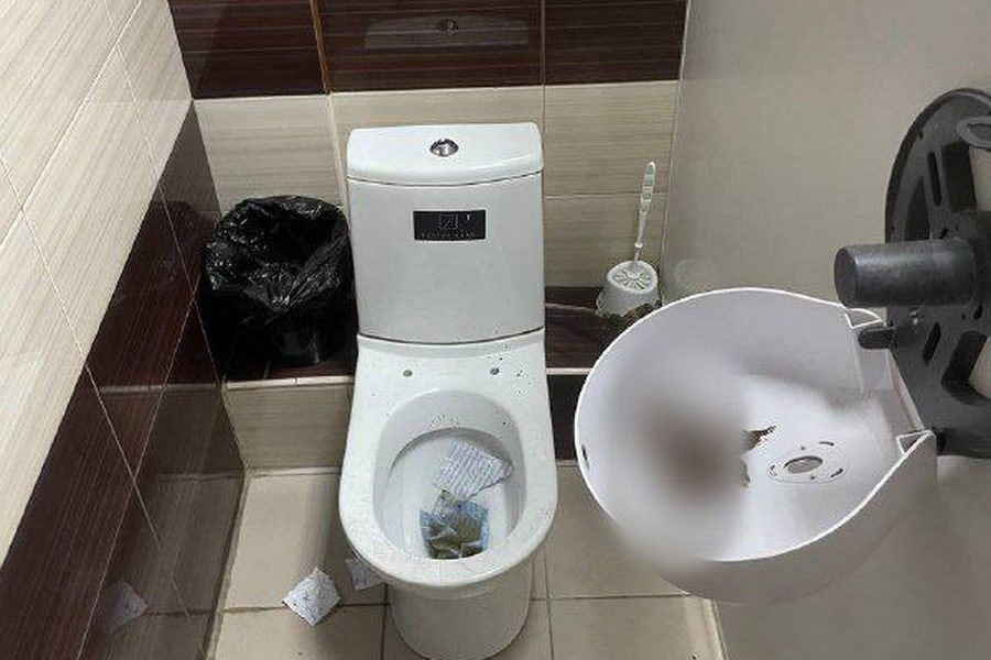 Гадкий утенок атаковал туалеты новосибирского вуза