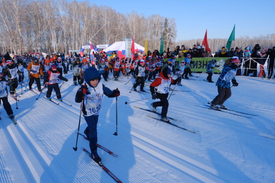 Лыжню России в Новосибирске в этом году могут провести в парке Усть-Тула