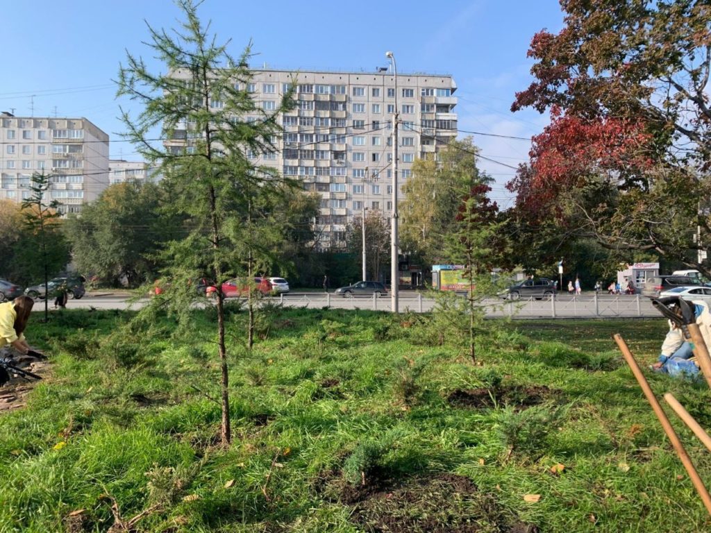 В Нарымском сквере появятся детские площадки и зона воркаута