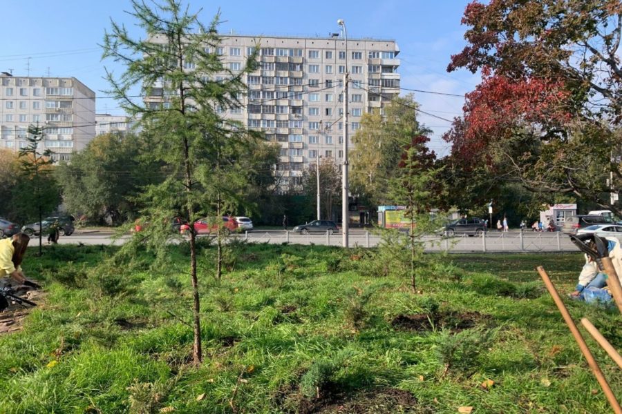 В Нарымском сквере появятся детские площадки и зона воркаута