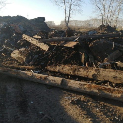 Незаконную добычу песка обнаружило Минприроды под Новосибирском