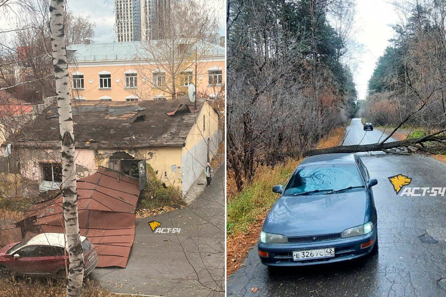 Жители Новосибирска делятся фотографиями разрушений после сильного ветра