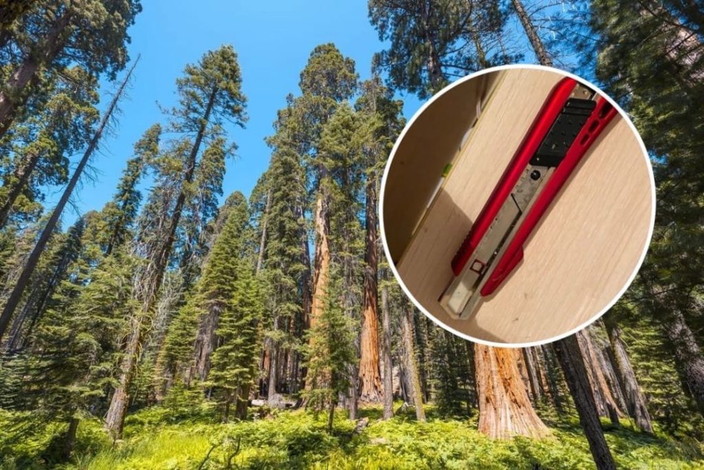 «Она ей завидовала»: школьники рассказали, почему одноклассница порезала подругу под Новосибирском