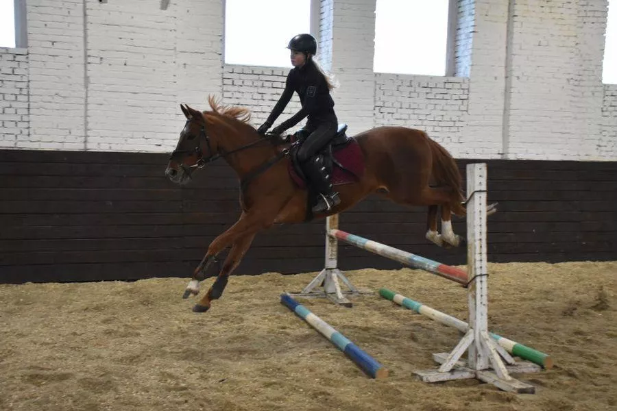 В конной школе олимпийского резерва Новосибирска отремонтировали манеж