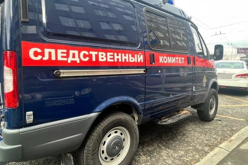Пациента психбольницы, пытавшегося убить медсестру, задержали под Новосибирском