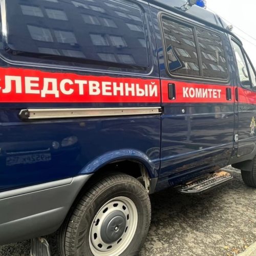 Пациента психбольницы, пытавшегося убить медсестру, задержали под Новосибирском