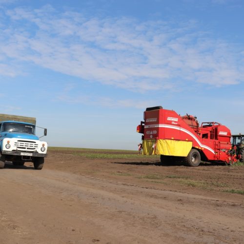 Льготные кредиты для аграриев могут подорожать в три раза в Новосибирске