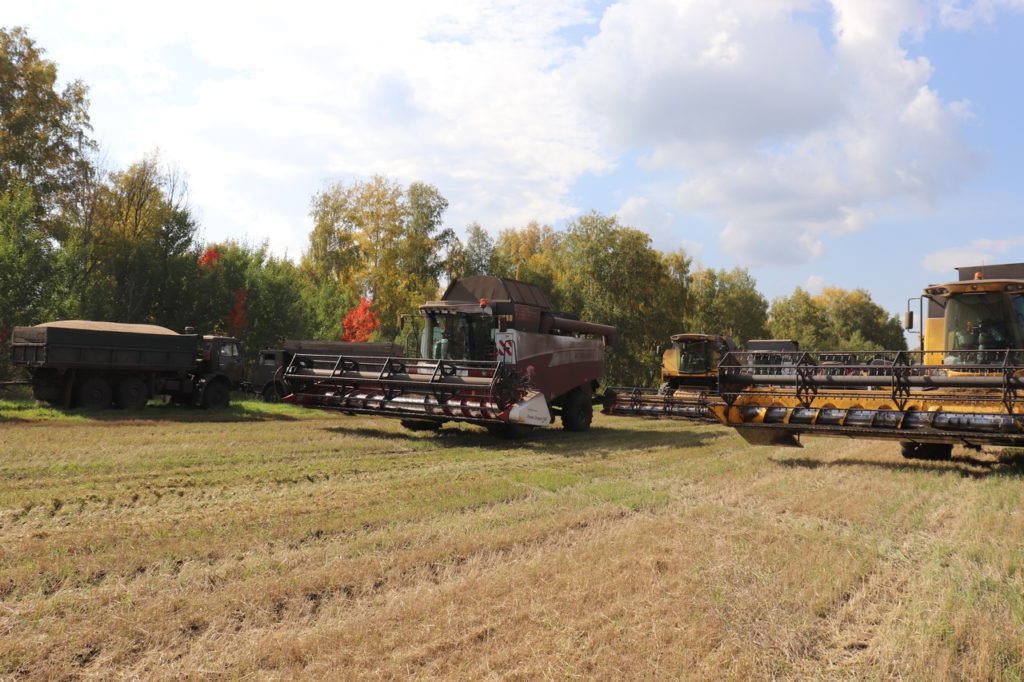 Только 47 процентов урожая убрано на полях в Новосибирской области