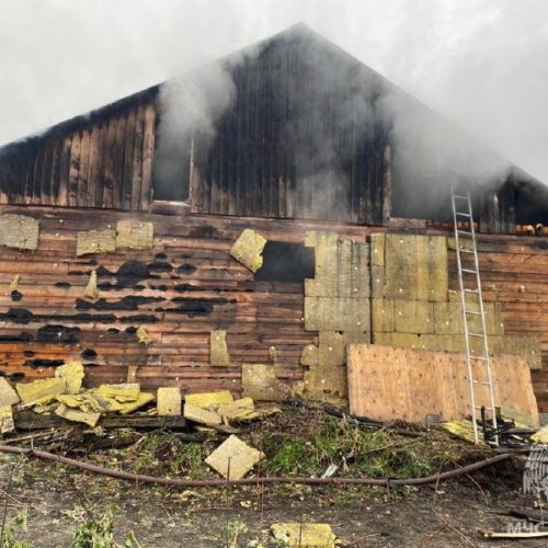 Неравнодушные новосибирцы разбирают завалы в сгоревшем клубе, где погибло 17 лошадей