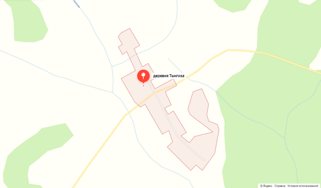 С Яндекс.Карт пропала деревня в Новосибирской области