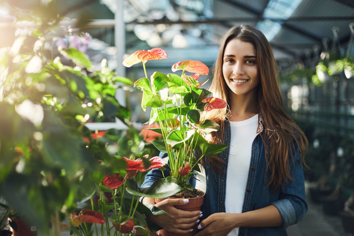 Купить цветы 2024 год. Женщина с садовыми цветами покупками.