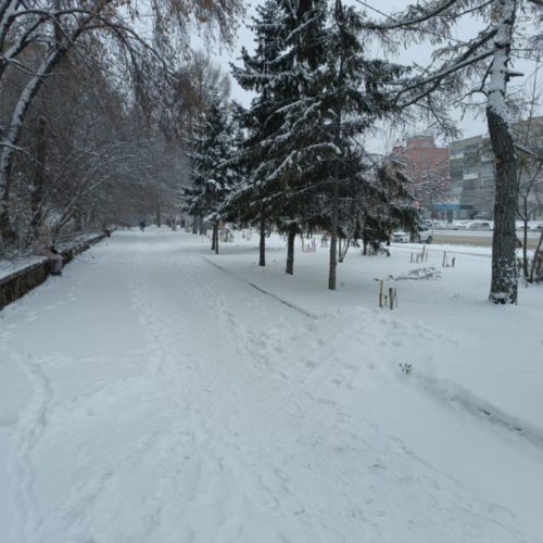 Синоптики рассказали, когда закончится снегопад в Новосибирске