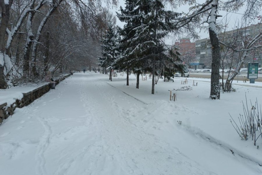 Синоптики рассказали, когда закончится снегопад в Новосибирске