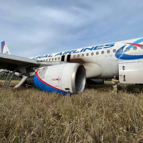 Росавиация завершило расследование посадки самолета в поле под Новосибирском