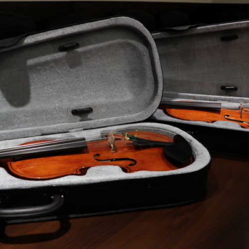 Новосибирская филармония получит скрипки от монастыря ЛНР