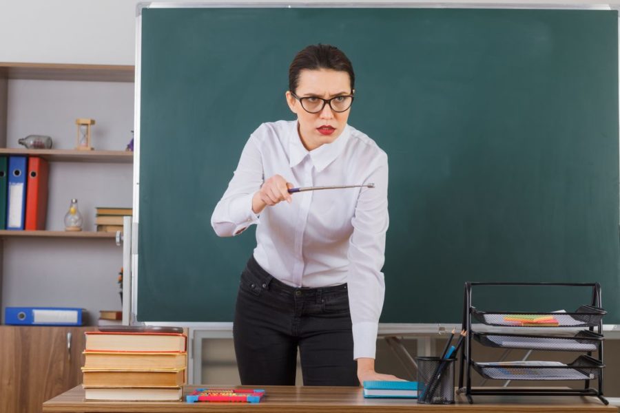 Учительницу, которая оскорбила учеников, оставили работать в школе Новосибирска