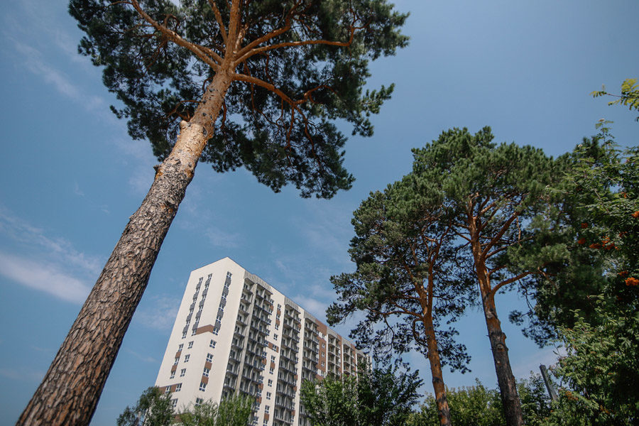 Купить жилье и быстро переехать: готовые квартиры от 2,8 млн рублей