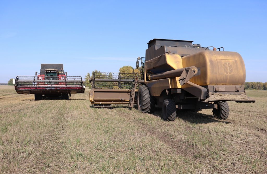 Уборка урожая все еще продолжается в Новосибирской области
