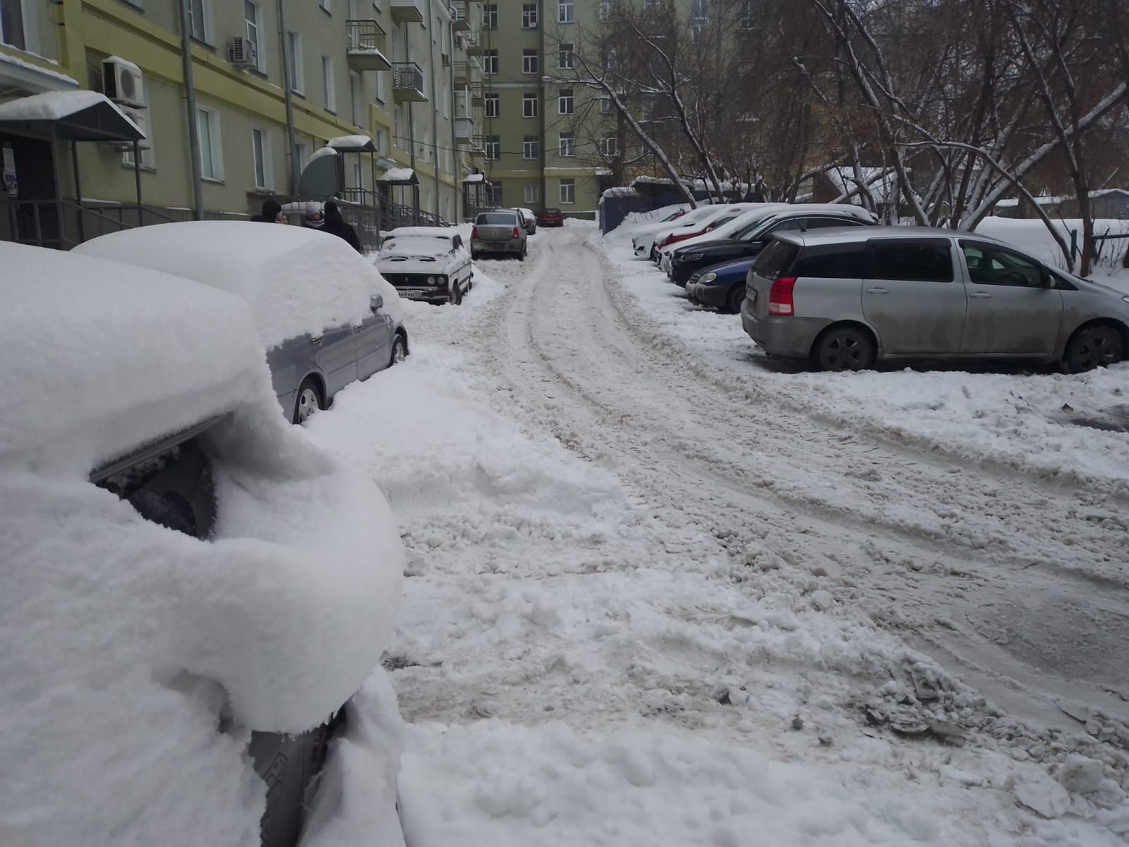 На качество уборки дворов от снега жалуются горожане в Новосибирске |  24.12.2023 | Новосибирск - БезФормата