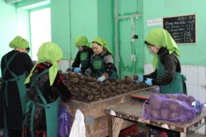 Новосибирский производитель овощей в три раза ускорил упаковку продукции