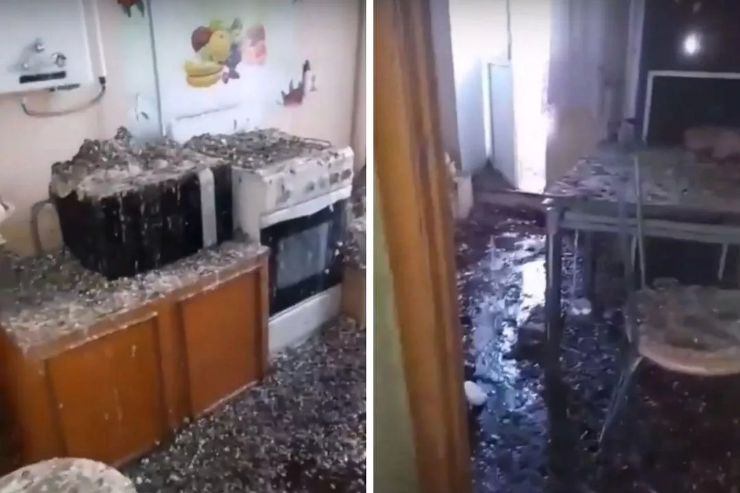 Голуби превратили квартиру вахтовика в гигантское гнездо Голуби превратили квартиру вахтовика в гигантское гнездо