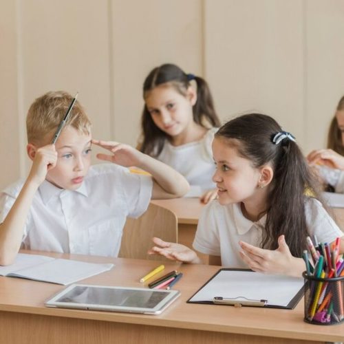 Новосибирскую школу обязали выделить по 2,5 метра на каждого ученика