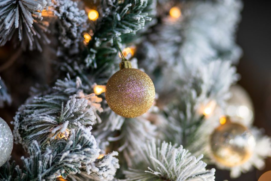 Похититель Рождества: сибиряк украл нарядную ель из ресторана в Томске