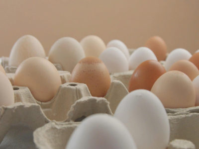 Соглашение о стабилизации йен на яйца подписано в Новосибирской области