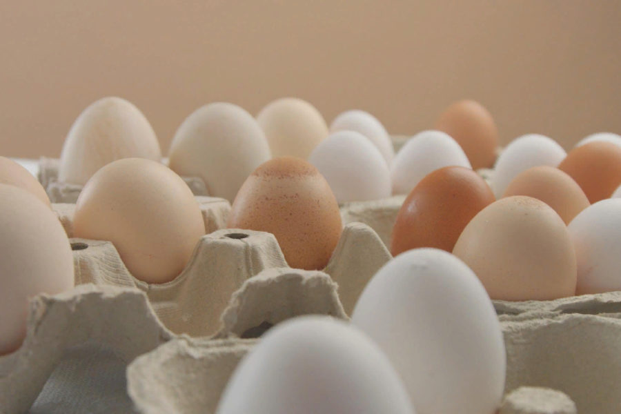 Соглашение о стабилизации йен на яйца подписано в Новосибирской области