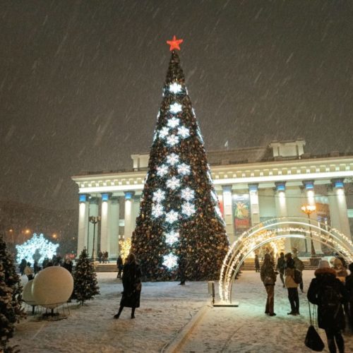 Подарок от священника и елки-невидимки: как менялся главный новогодний символ за последние 120 лет в Новосибирске