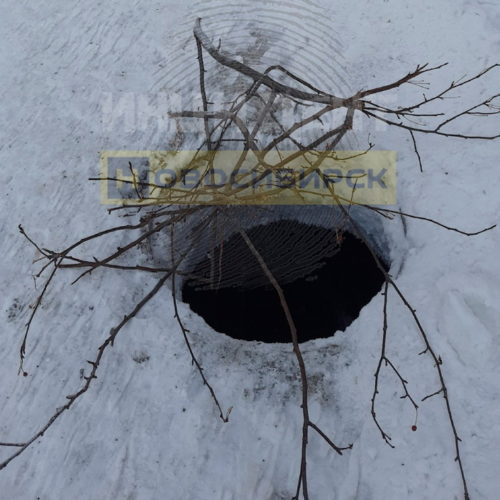 Почти безопасно: глубокий коллектор в центре Новосибирска прикрыли голыми ветками