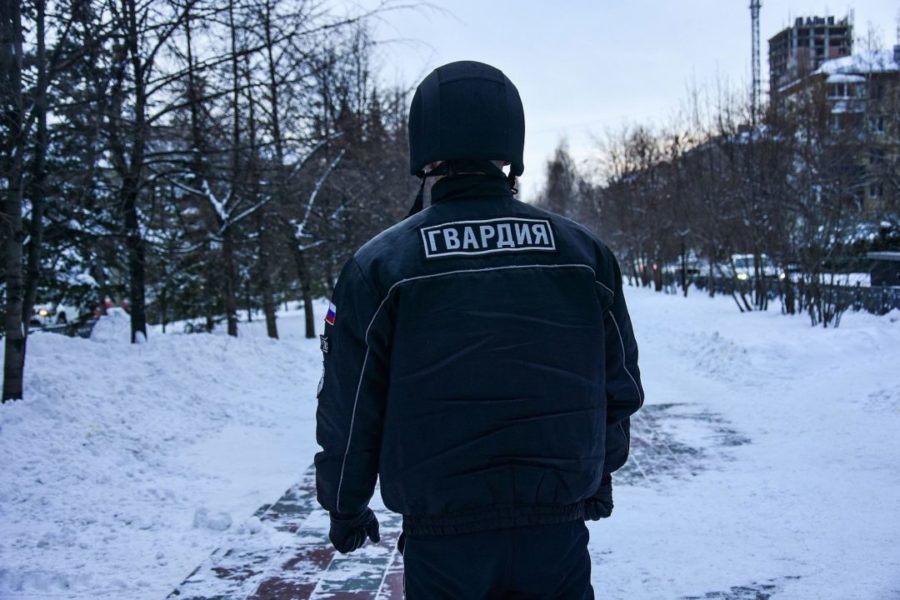 Украл и съел: любителя паровых мантов задержали в Новосибирске
